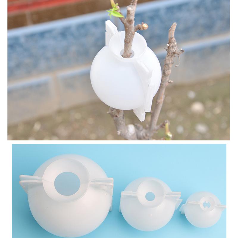 Air Layer Plant Propagation Capsule | Luvikno
