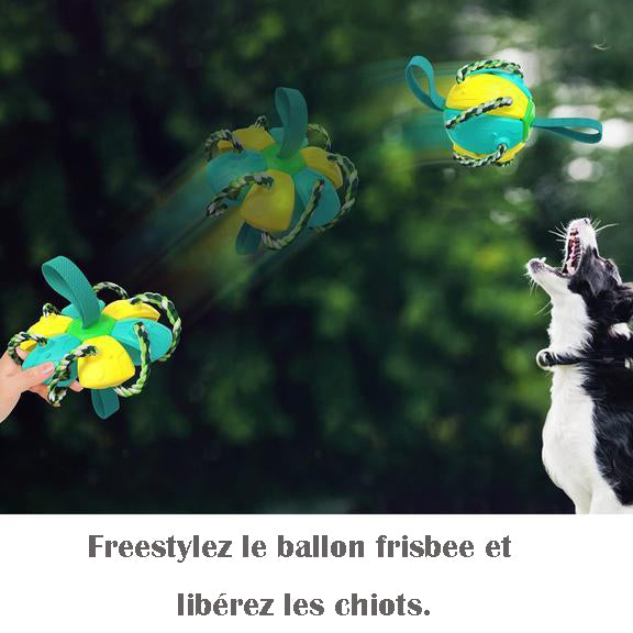 Hundelekeball UFO Magic Ball | Luvikno