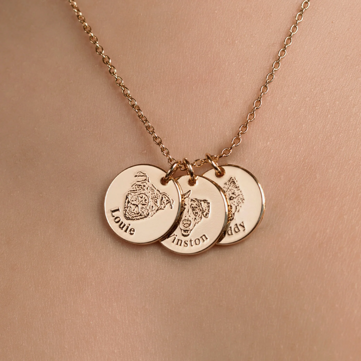 Custom Pet Memorial Necklace Luvikno