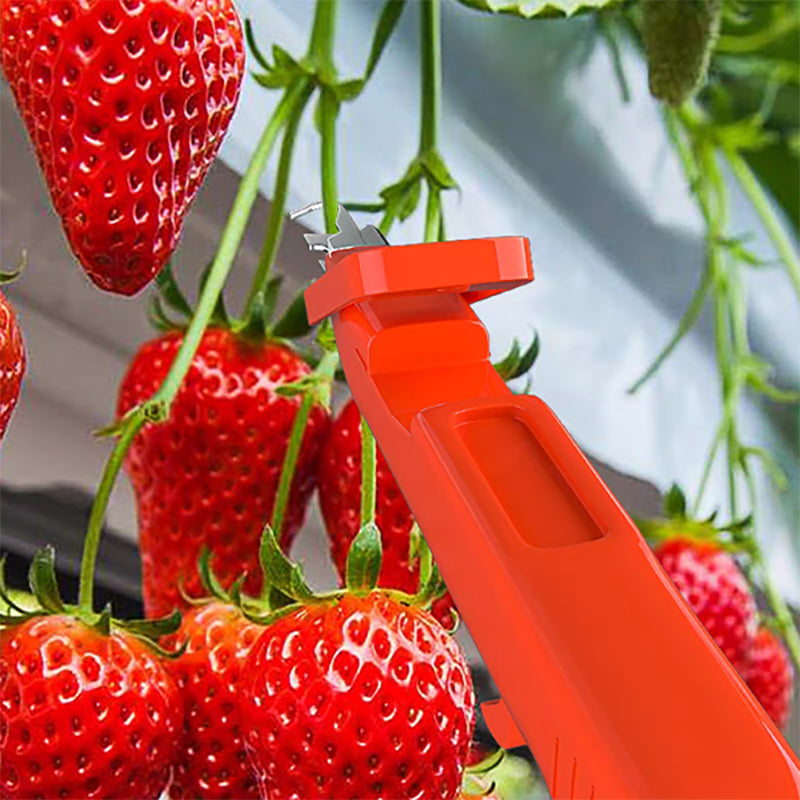 Effektive paprika plukking verktøy | Luvikno