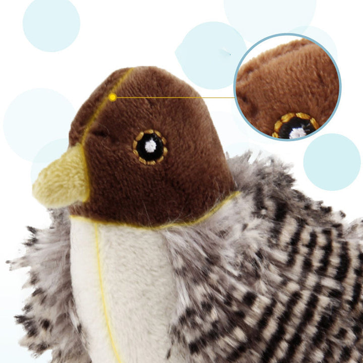 Luvikno | BirdyPurr - Den trygge lekevennen for katten din!