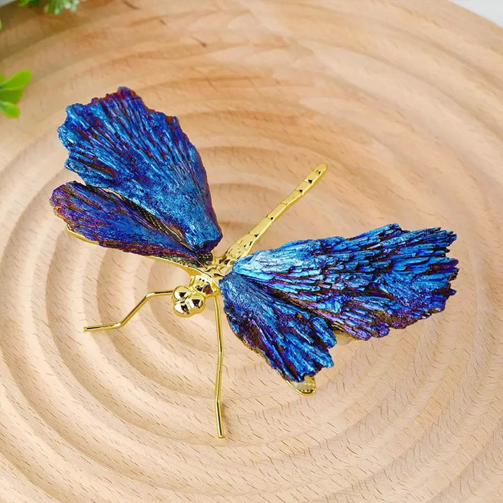 AURA TOURMALINE KYANITE DRAGEFLY | Luvikno