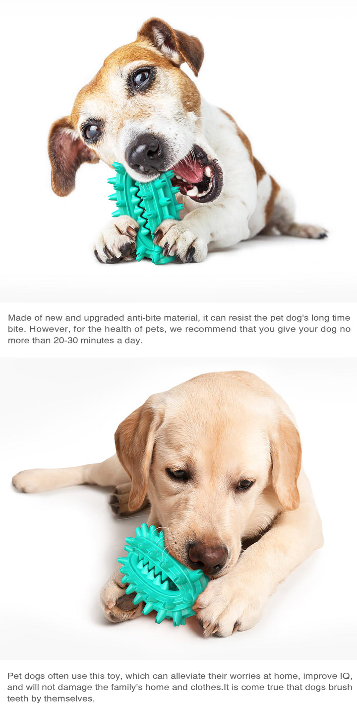 Cactus Chew Ball / For Dogs Luvikno