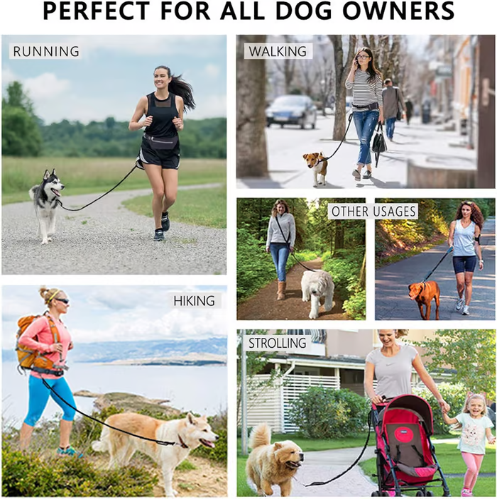 FlowLeash — Opplev myk kontroll og avslappede turer uten rykk! | Luvikno