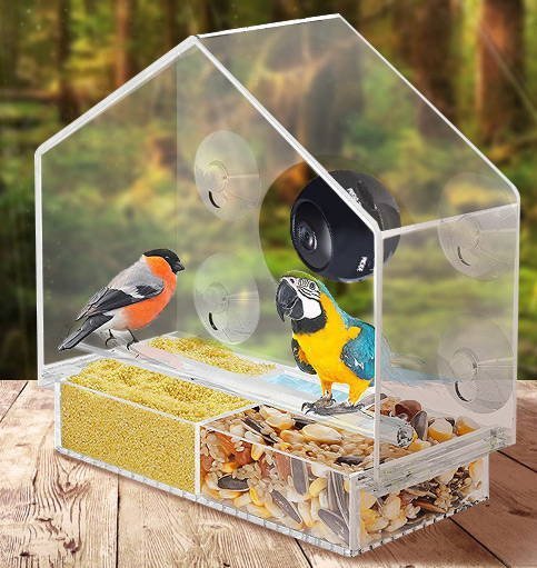 Smart Bird Feeder med Live Kamera | Luvikno