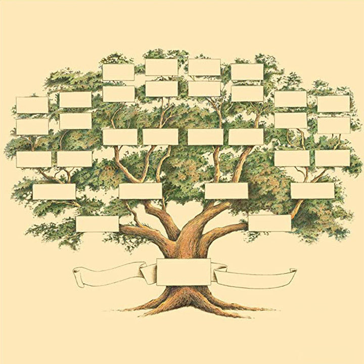 Familietreets genealogi diagram | Luvikno