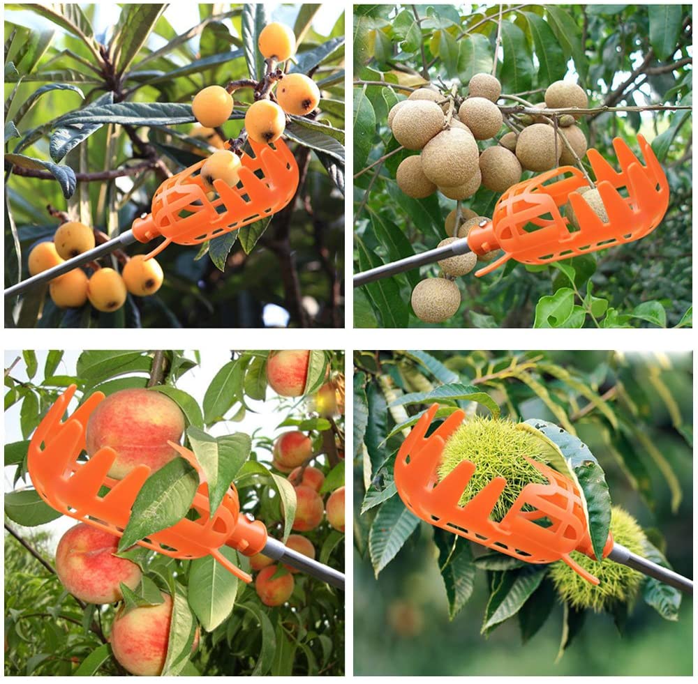 Fruktplukker | Luvikno