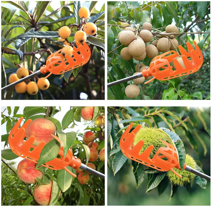 Fruktplukker | Luvikno