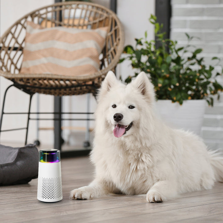 PetFresh - Aromatisk Duftsprayer for Kjæledyr Luvikno