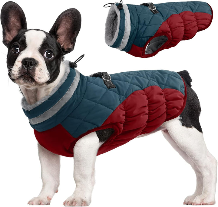 Luvikno | SafeWalk Vintersele Jakke – Vanntett hundejakke med refleks og fleeceforing
