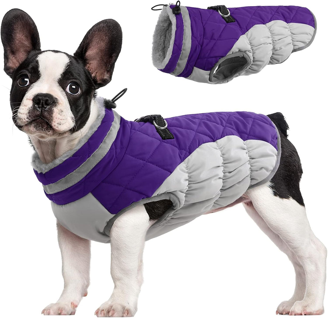 Luvikno | SafeWalk Vintersele Jakke – Vanntett hundejakke med refleks og fleeceforing