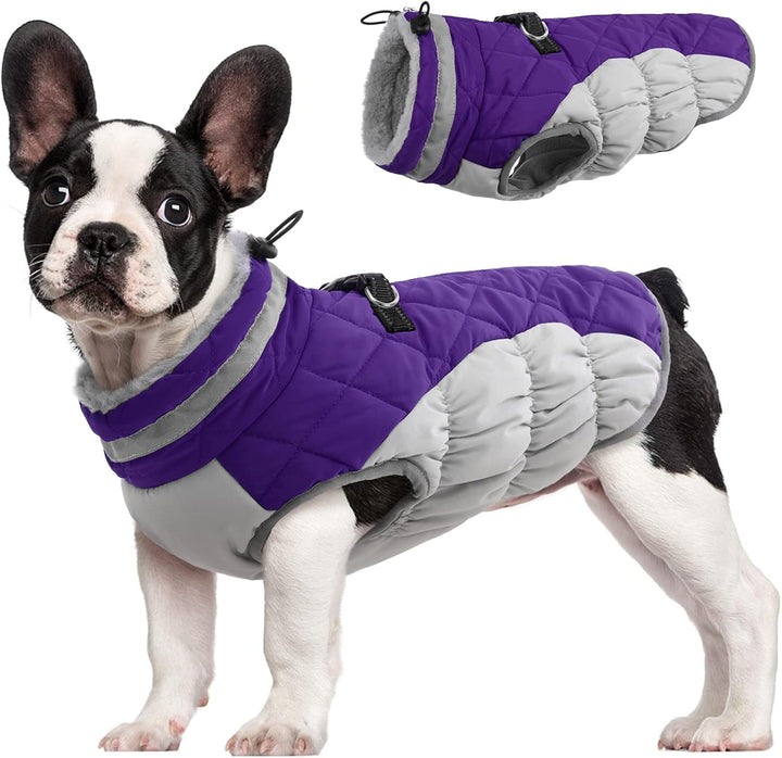 Luvikno | SafeWalk Vintersele Jakke – Vanntett hundejakke med refleks og fleeceforing