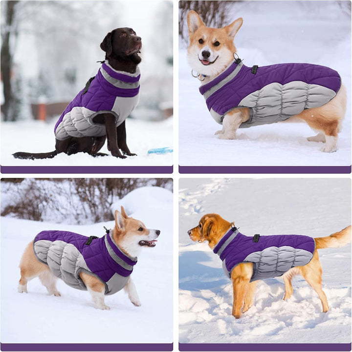 Luvikno | SafeWalk Vintersele Jakke – Vanntett hundejakke med refleks og fleeceforing