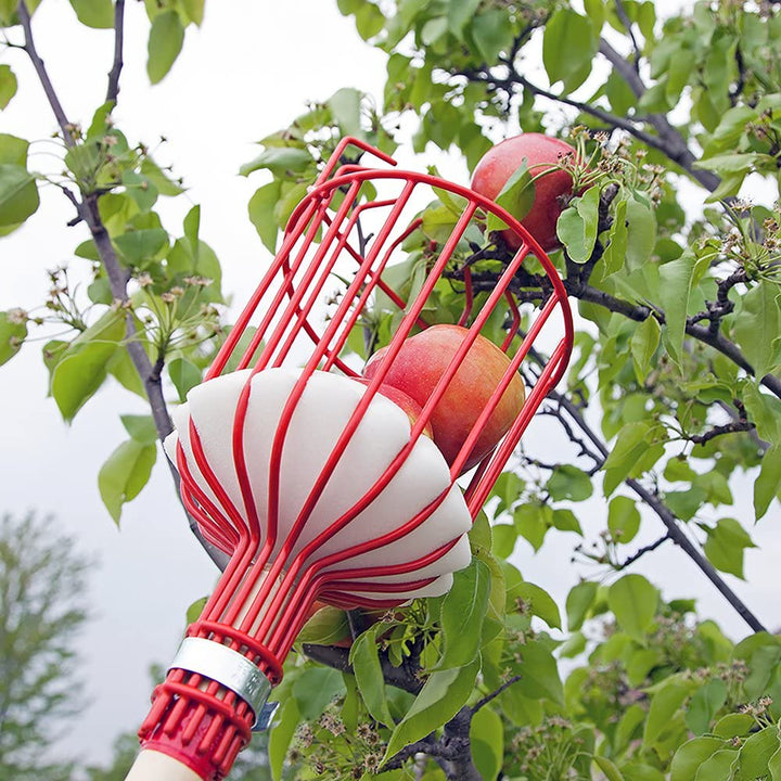Fruktplukker Verktøy | Luvikno