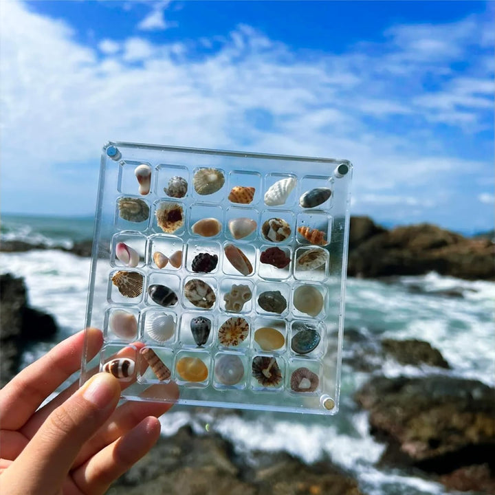 Acrylic Treasure Keeper | Stilfull lagring av din havsamling | Luvikno