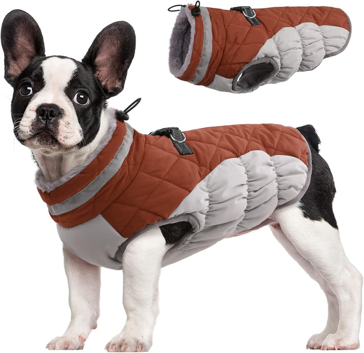 Luvikno | SafeWalk Vintersele Jakke – Vanntett hundejakke med refleks og fleeceforing
