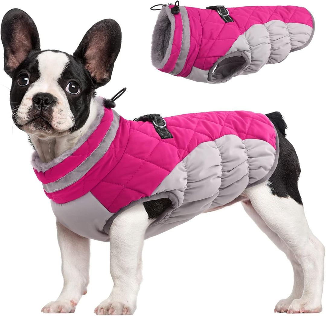 Luvikno | SafeWalk Vintersele Jakke – Vanntett hundejakke med refleks og fleeceforing
