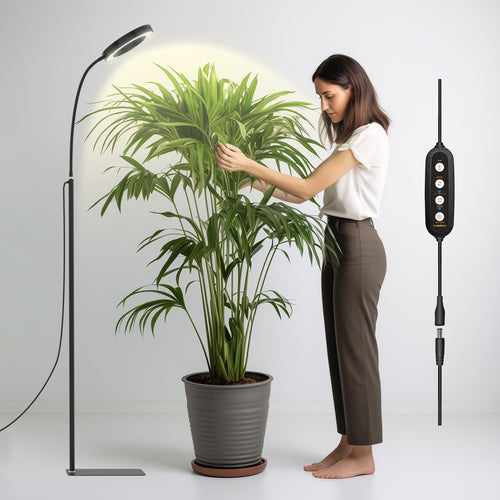Luvikno | Glowrium Vekstlys For Innendørsplanter, 20W Led Plante Vekstlys Med Automatisk Timer, Full Spektrum Justerbar Høyde Stående Plante Vekstlys, 3 Lysmodus, 6-Nivå Dimbar (Svart)