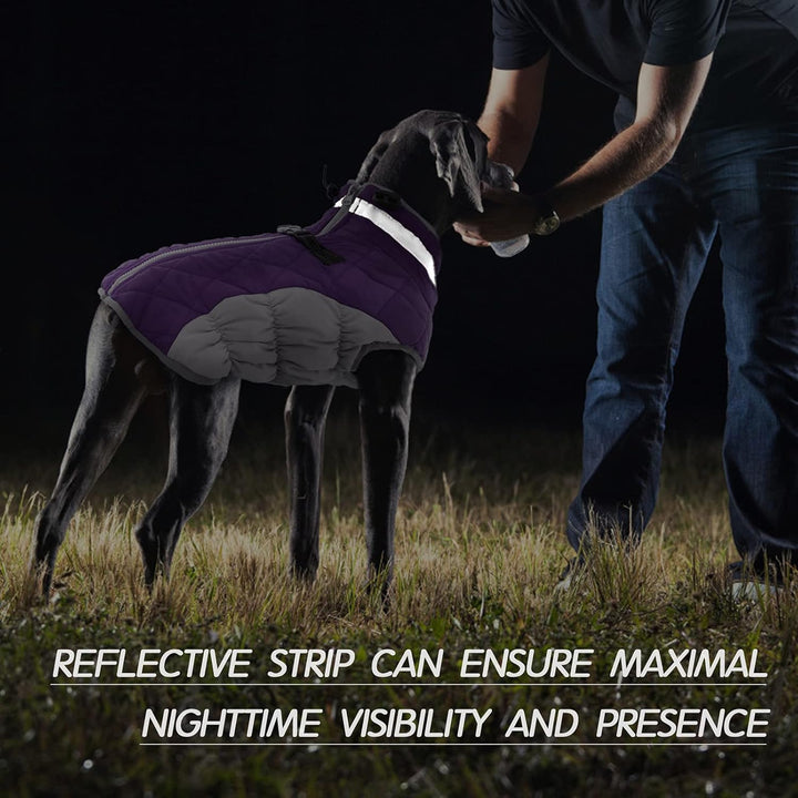 Luvikno | SafeWalk Vintersele Jakke – Vanntett hundejakke med refleks og fleeceforing