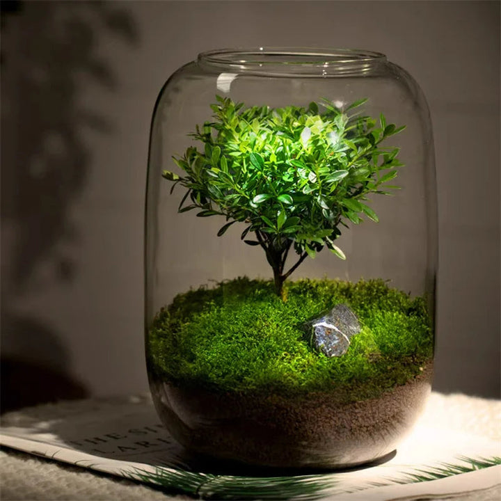 Micro Landscape Green Oasis Glass Vase | Luvikno