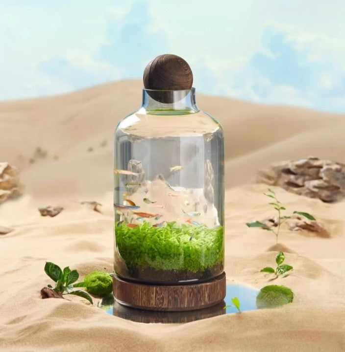 Mikro Akvarium Kompakt Glass Økologisk Fisken Tank | Luvikno