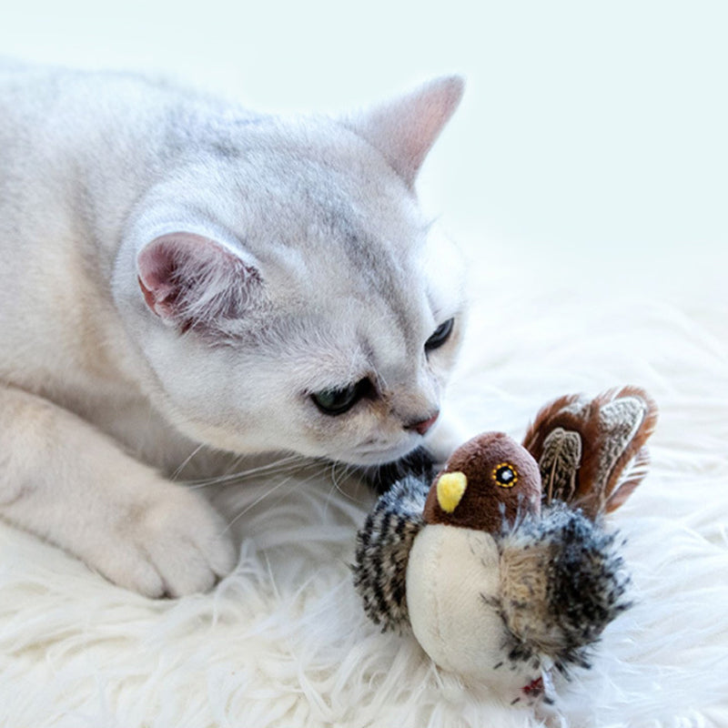 Luvikno | BirdyPurr - Den trygge lekevennen for katten din!