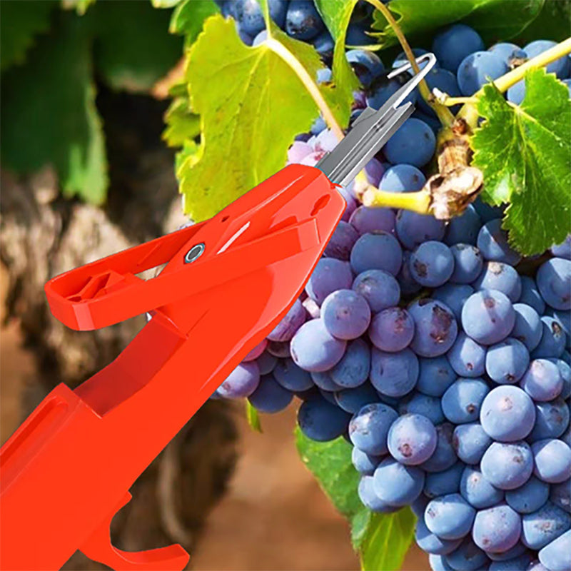 Effektive paprika plukking verktøy | Luvikno