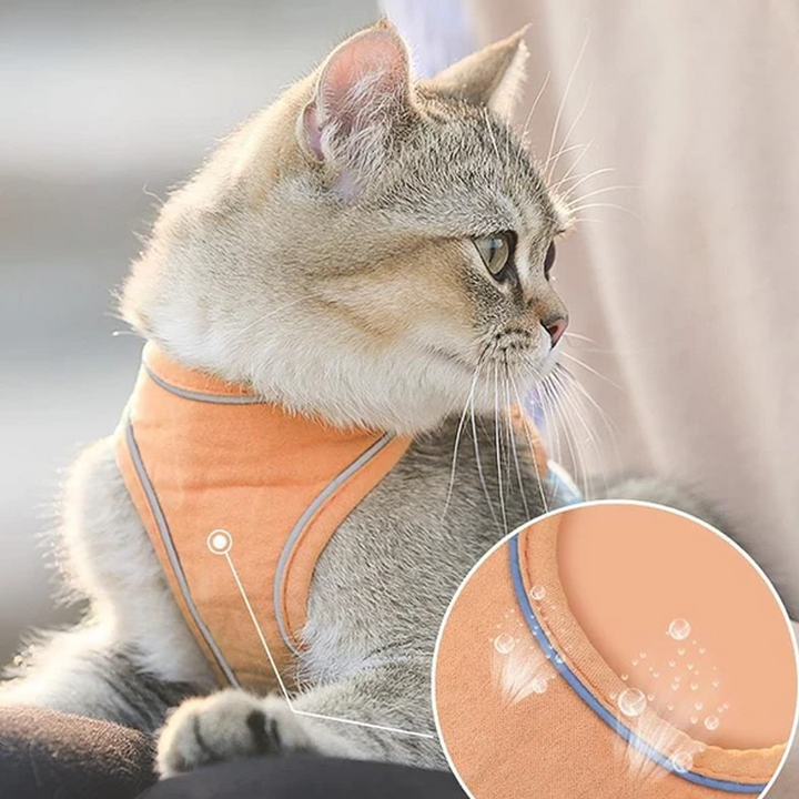 Harness og båndsett for katt | Luvikno