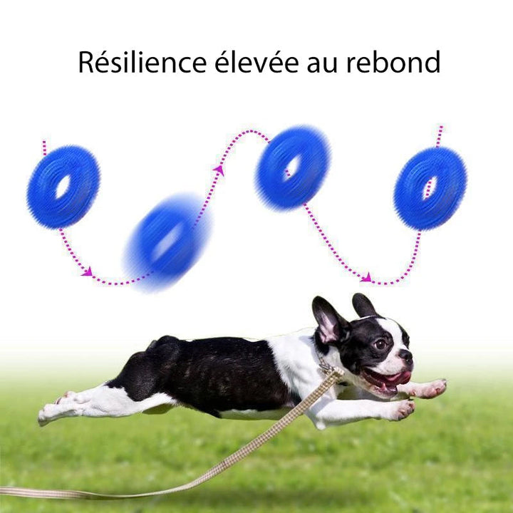 Vocal Ball Hundekjøttleketøy | Luvikno