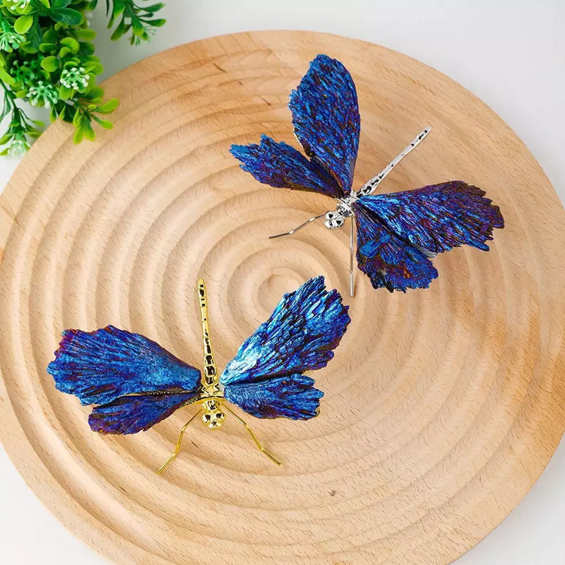 AURA TOURMALINE KYANITE DRAGEFLY | Luvikno
