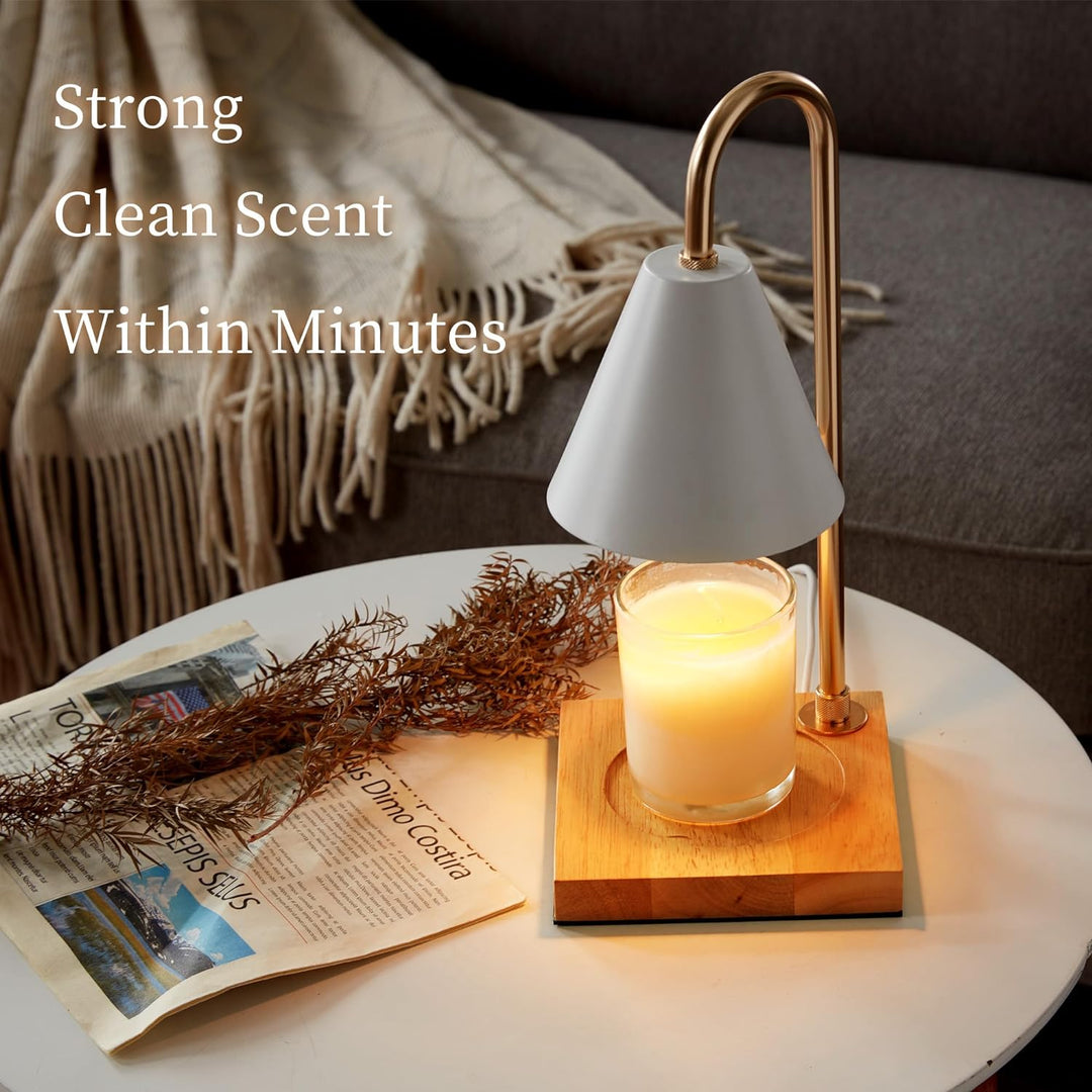 Flameless Candle Warmer Luvikno
