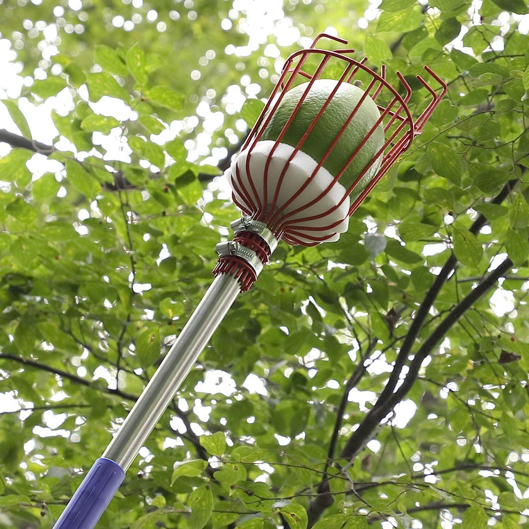 Fruktplukker Verktøy | Luvikno