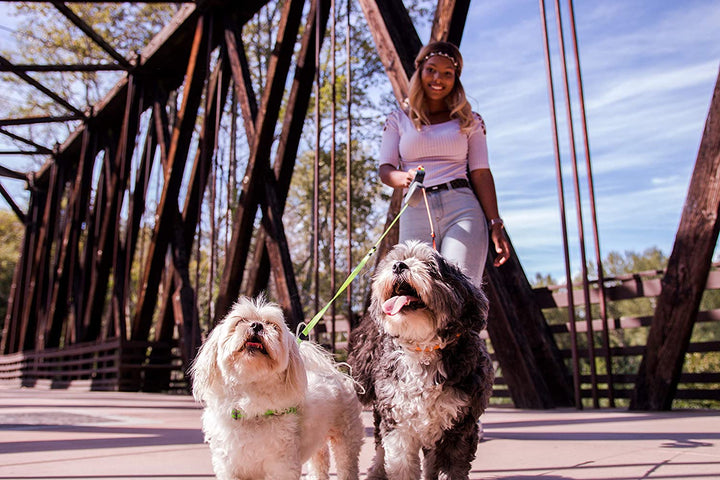 Luvikno | Dual Dog Flex-linje