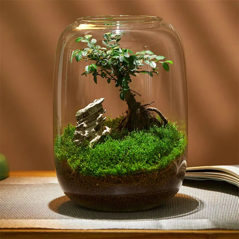 Micro Landscape Green Oasis Glass Vase | Luvikno
