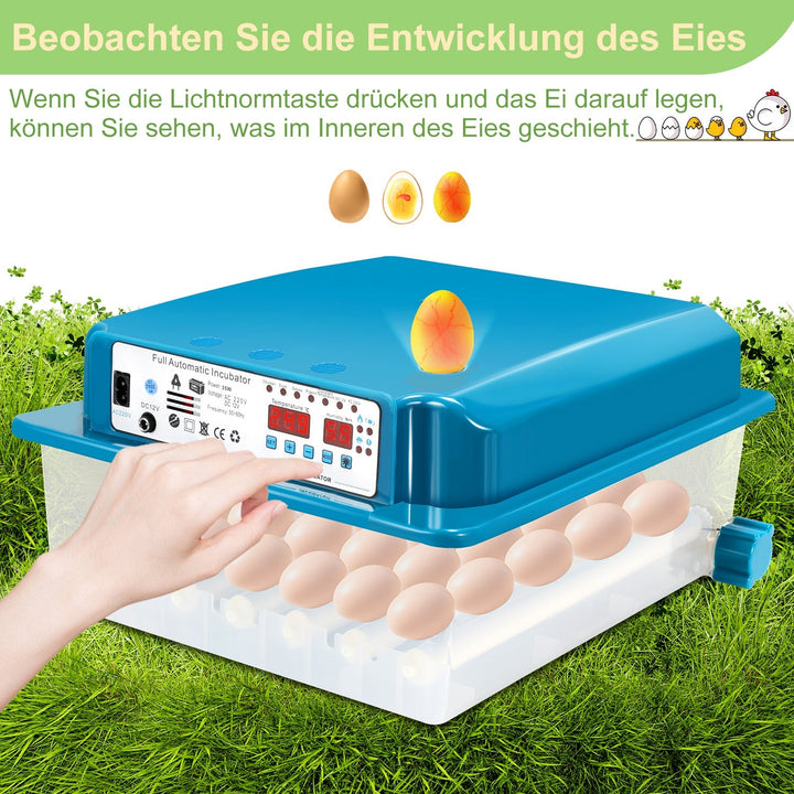 Brutautomat Fulle Automatisk Inkubator for Kyllinger 36 Egg | Luvikno