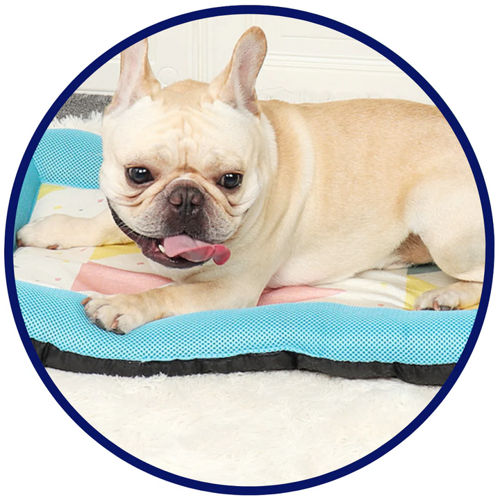 Pet Silk Cooling Mat | Luvikno