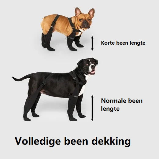 Luvikno | Bærekraftige hundeboots for alle værforhold – Vanntette hundesko for snø, fotturer og utendørs aktiviteter