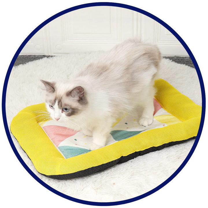 Pet Silk Cooling Mat | Luvikno