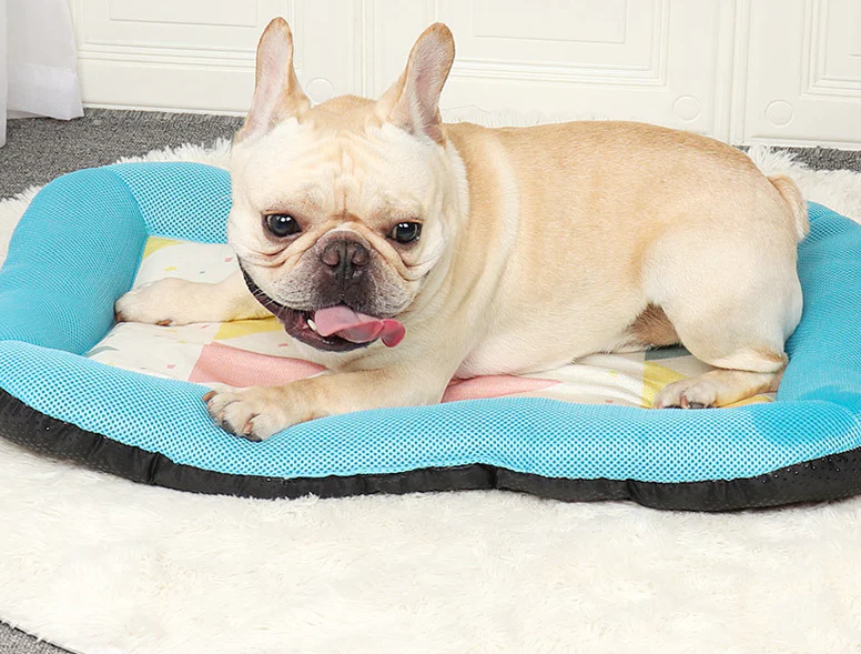 Pet Silk Cooling Mat | Luvikno