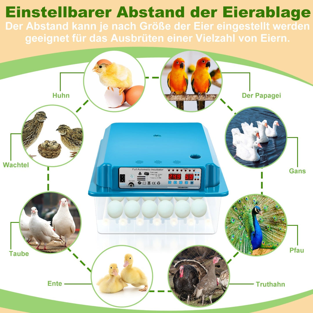 Brutautomat Fulle Automatisk Inkubator for Kyllinger 36 Egg | Luvikno