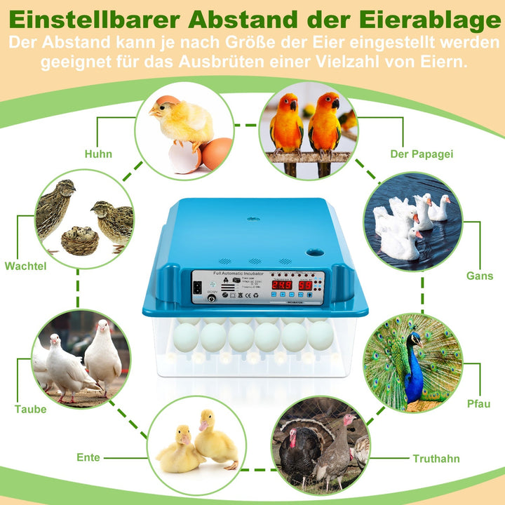 Brutautomat Fulle Automatisk Inkubator for Kyllinger 36 Egg | Luvikno