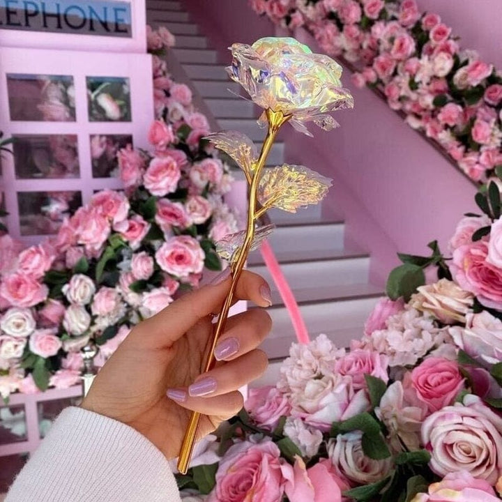 Fargerik galakse rose | Luvikno
