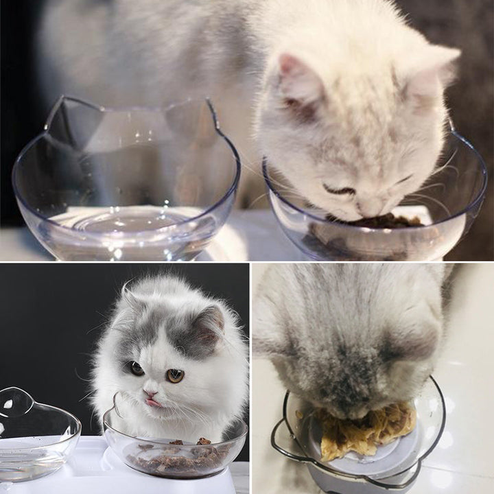 Fôrskål for katter | Luvikno