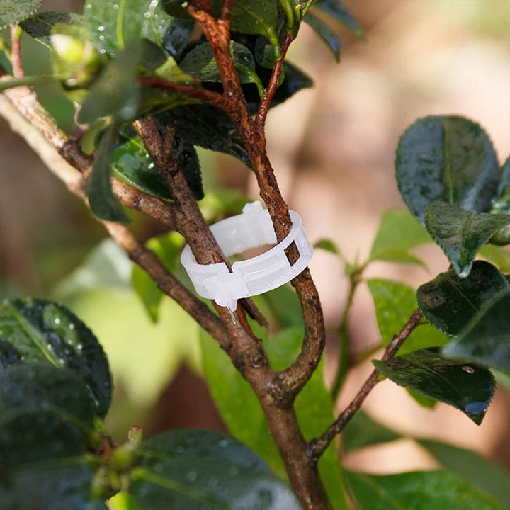 Plastikkinn for å holde planter | Luvikno