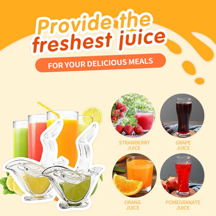 Transparent Manual Juicer | Luvikno