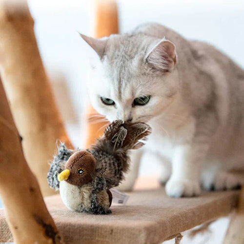 Luvikno | BirdyPurr - Den trygge lekevennen for katten din!