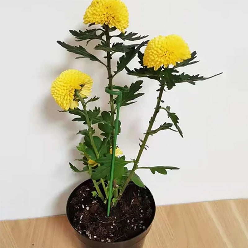 Plante støttepol | Luvikno