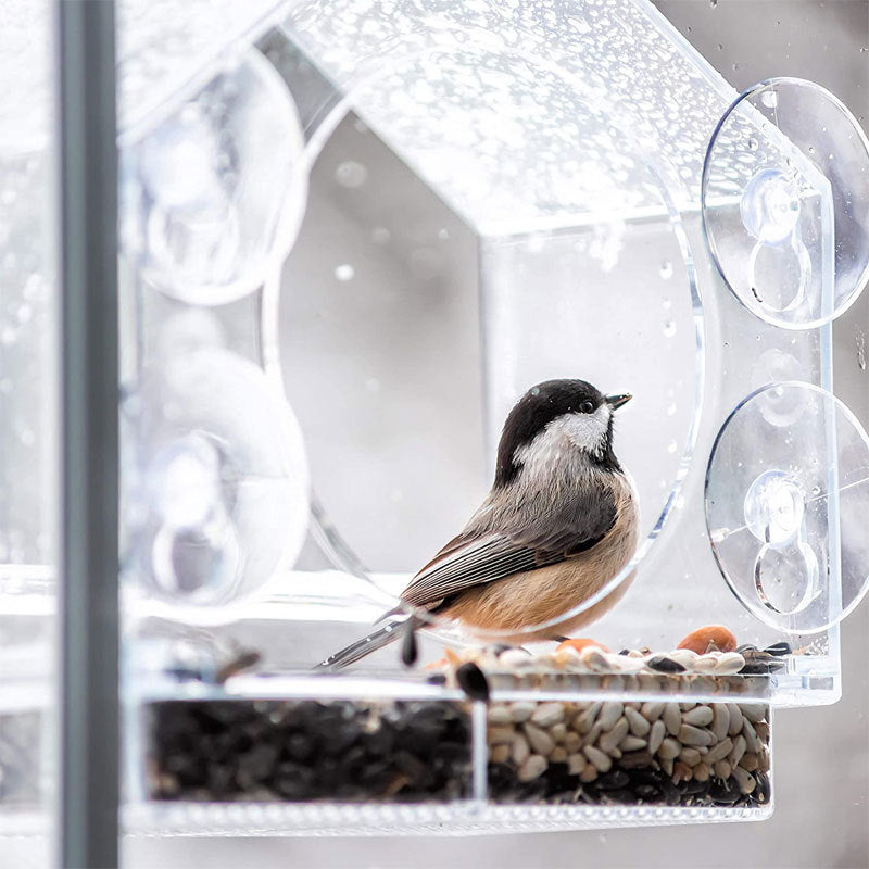 Smart Bird Feeder med Live Kamera | Luvikno