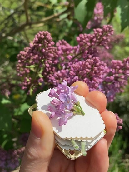 Luvikno | FloraKeep – Hold blomstene dine kjære friske for alltid!