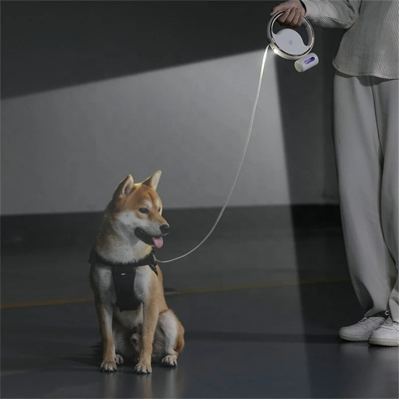 Luvikno | Automatisk hundefor | LumoLeash | Med LED lys & ergonomisk grep | Trekkbart mekanisme | For små & mellomstore hunder